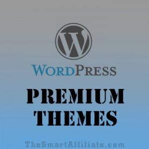 premium wordpress themes