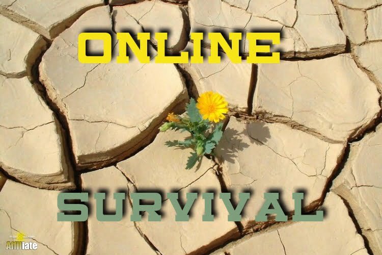 3 survival tactics for affiliate marketers